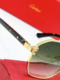Picture of Cartier Sunglasses _SKUfw80536979fw